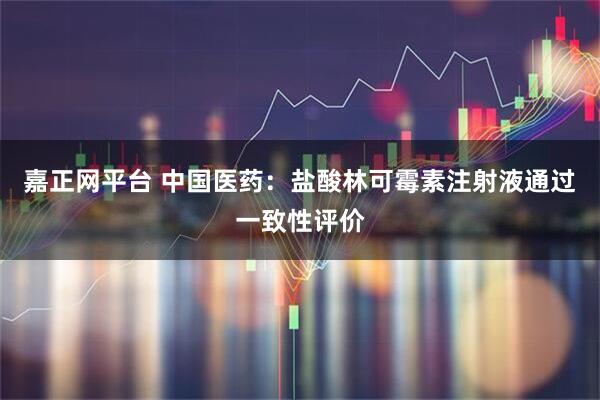 嘉正网平台 中国医药：盐酸林可霉素注射液通过一致性评价