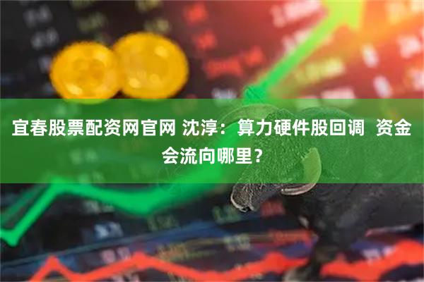 宜春股票配资网官网 沈淳：算力硬件股回调  资金会流向哪里？