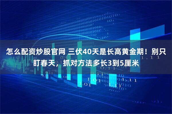 怎么配资炒股官网 三伏40天是长高黄金期！别只盯春天，抓对方法多长3到5厘米